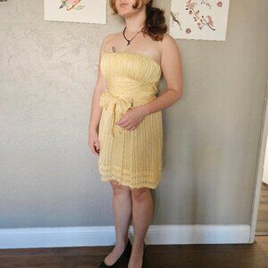 Pastel Yellow Silk Chiffon BCBGMAXAZRIA Dress Size 4
